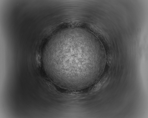 X0000096691010200802191423