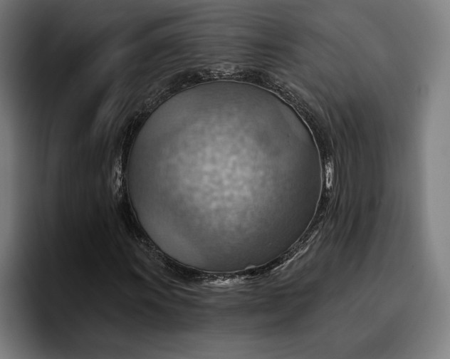 X0000096691011200802191423