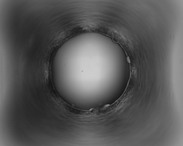 X0000096691012200802191423