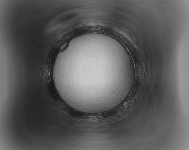 X0000096691013200802191423