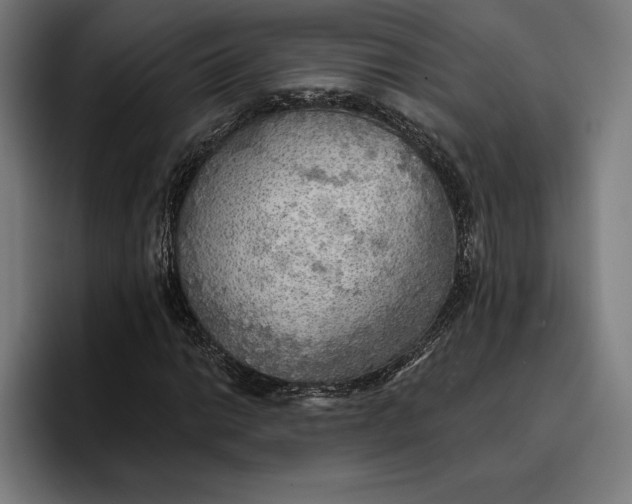 X0000096691014200802191423