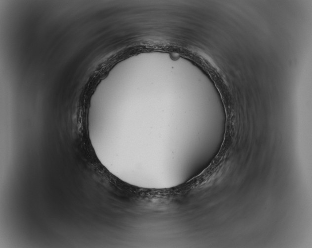 X0000096691016200802191423