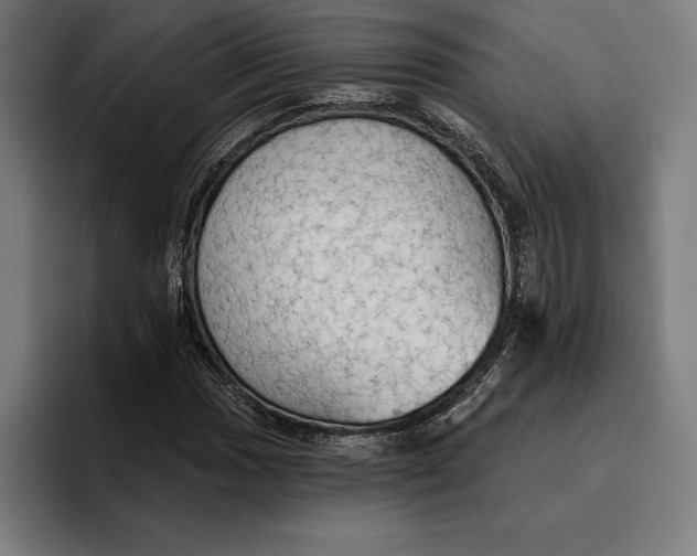 X0000096691017200802191424