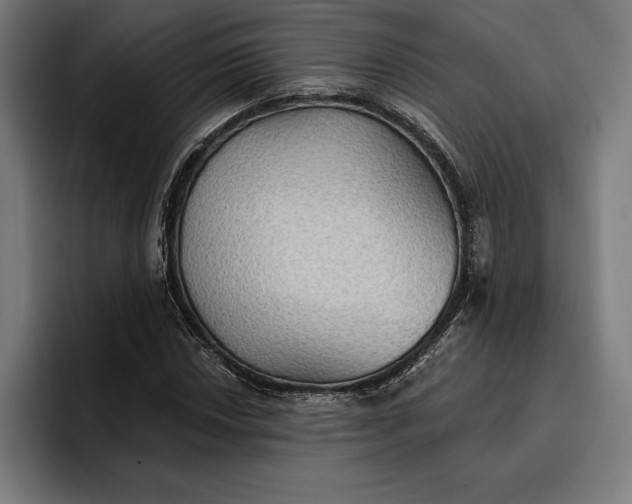 X0000096691018200802191424