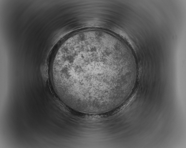 X0000096691019200802191424