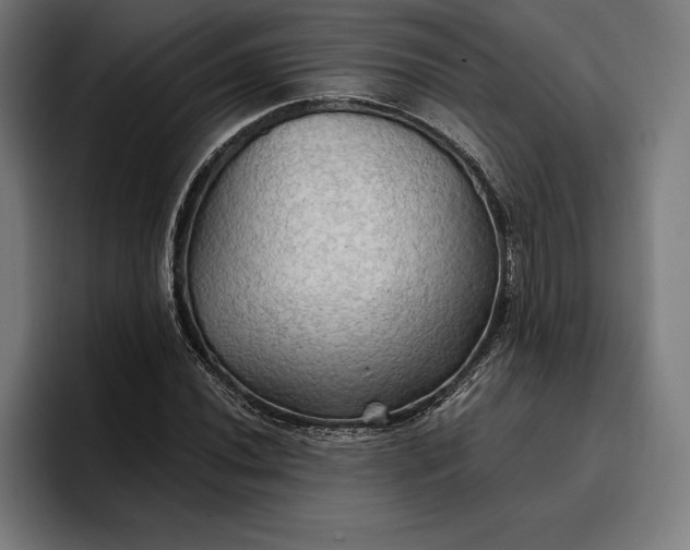 X0000096691020200802191424