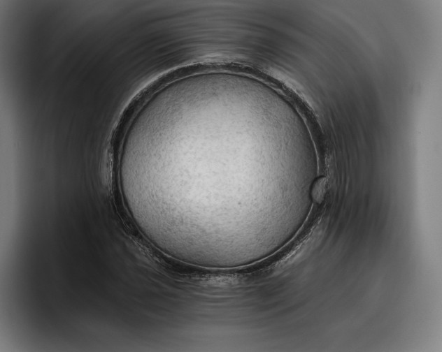 X0000096691021200802191424