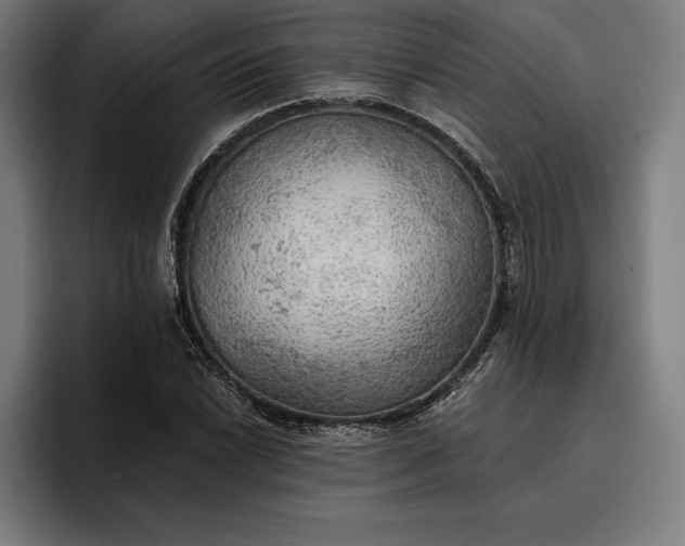 X0000096691022200802191424