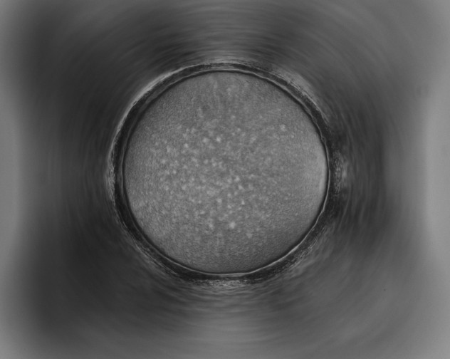 X0000096691024200802191424