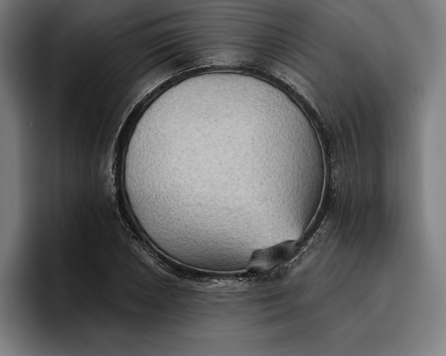 X0000096691026200802191424