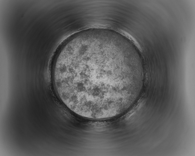 X0000096691027200802191424