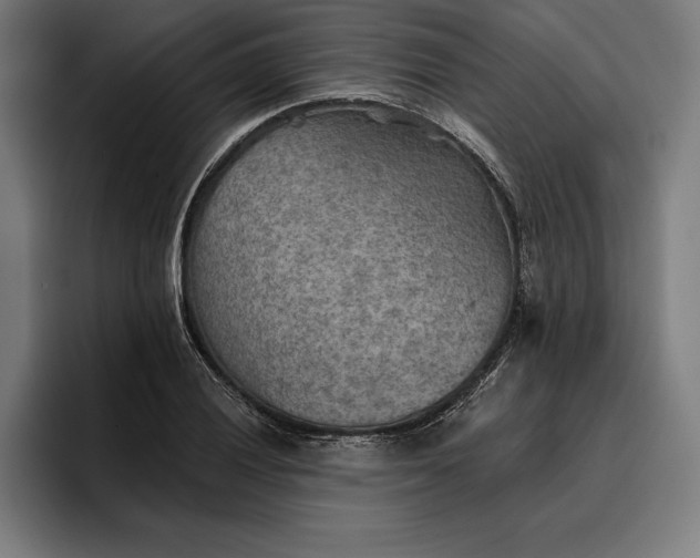 X0000096691028200802191424