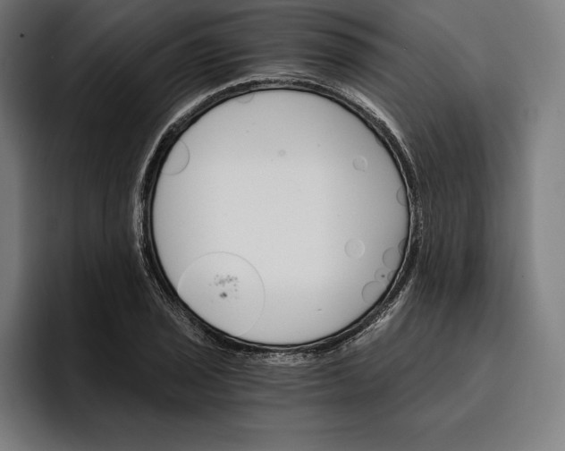 X0000096691029200802191424