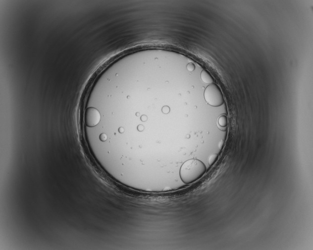 X0000096691030200802191424