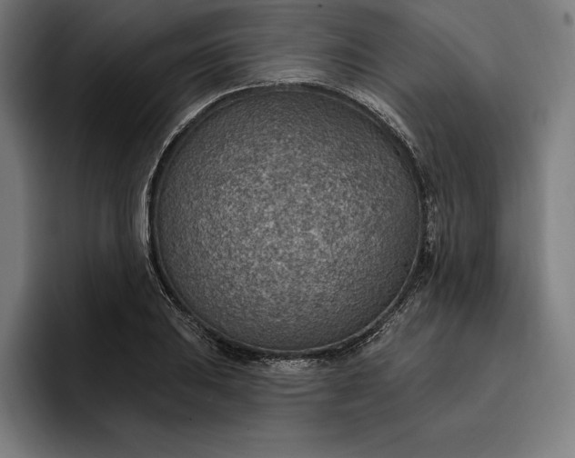 X0000096691031200802191424