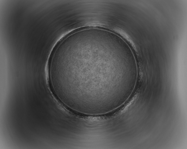 X0000096691032200802191424