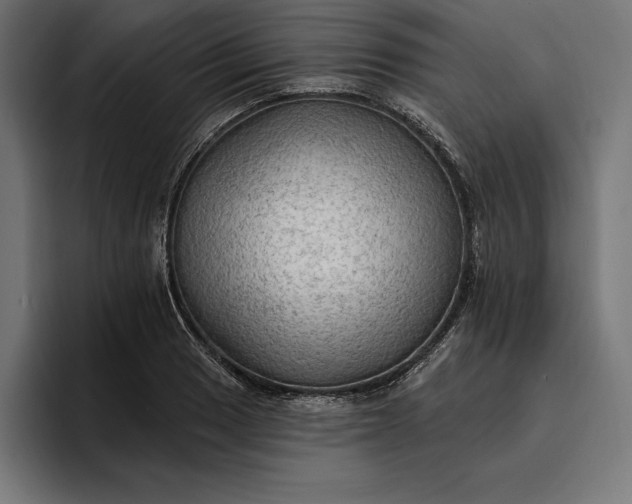 X0000096691033200802191424