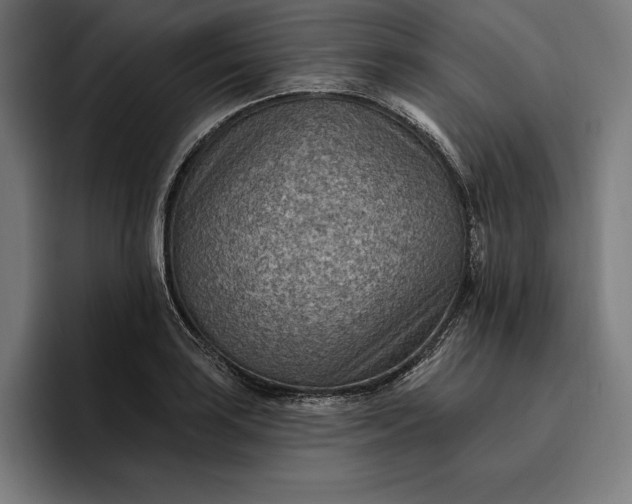 X0000096691035200802191424