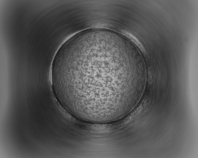 X0000096691036200802191424