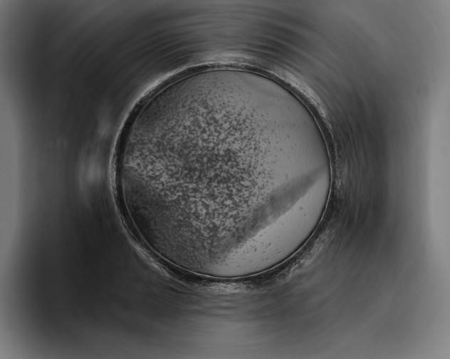 X0000096691037200802191424