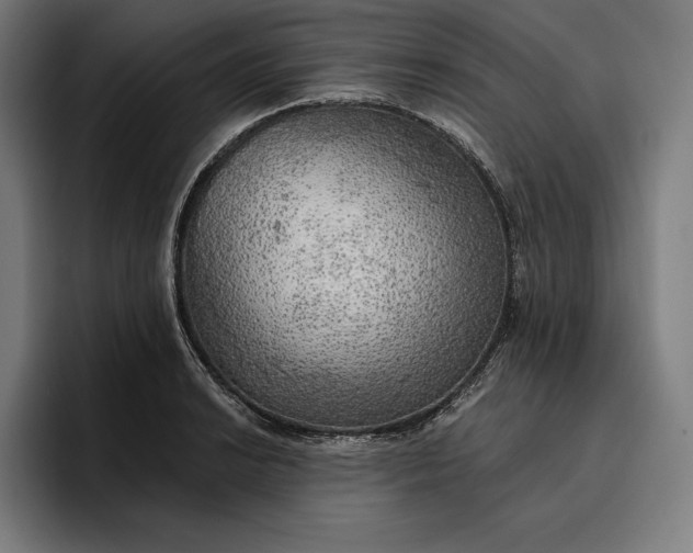 X0000096691038200802191424