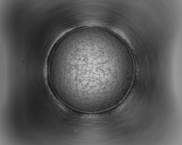 X0000096691040200802191424