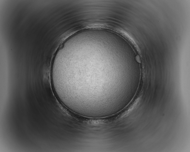 X0000096691041200802191424