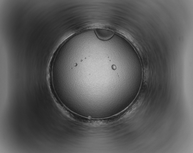 X0000096691042200802191424