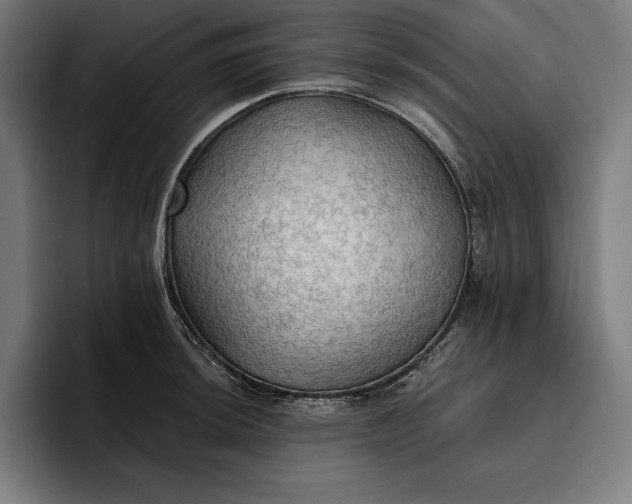 X0000096691044200802191424