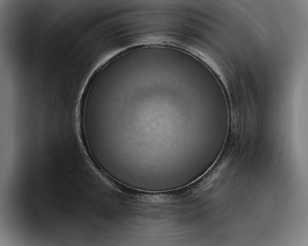 X0000096691045200802191424