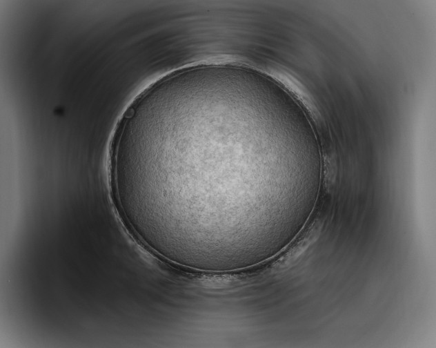 X0000096691046200802191424