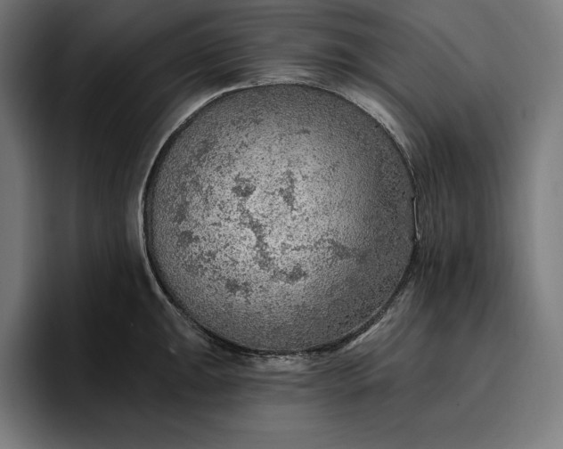 X0000096691047200802191424