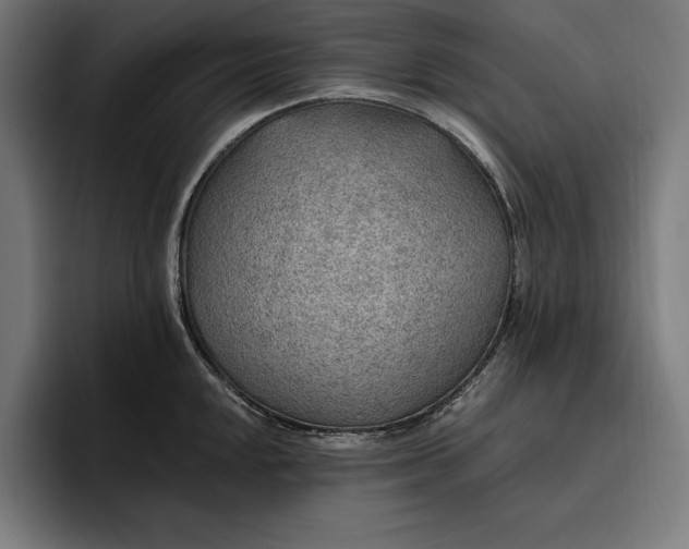 X0000096691048200802191424