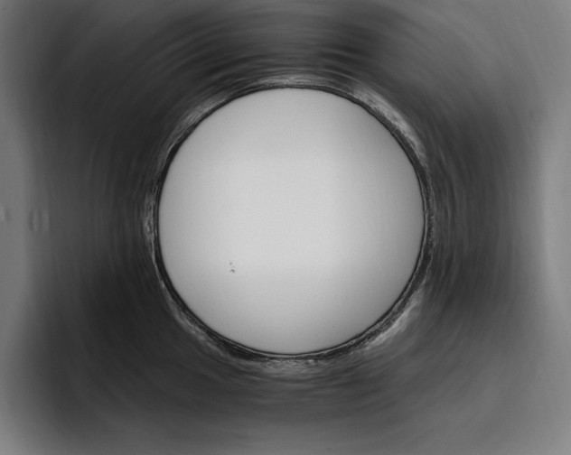 X0000096691049200802191424