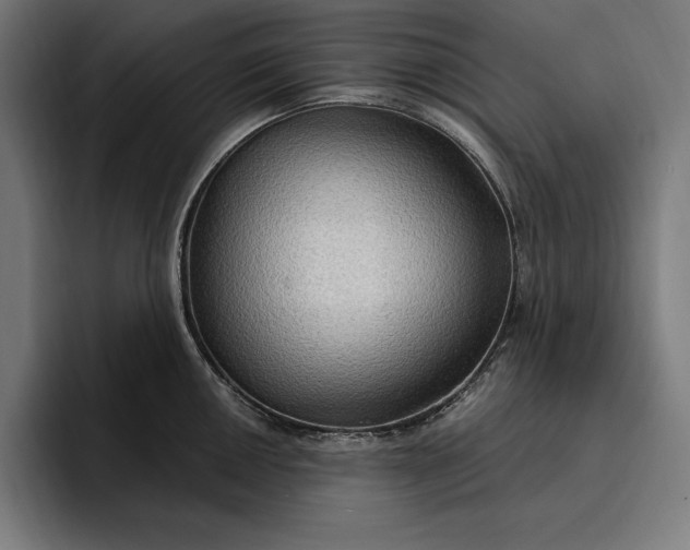 X0000096691050200802191424