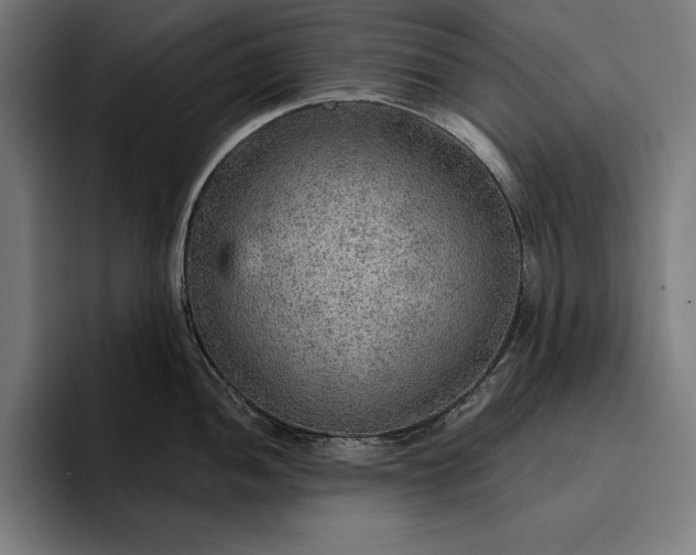 X0000096691052200802191424