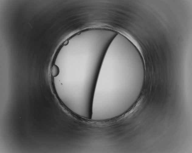 X0000096691053200802191424