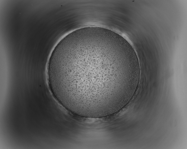 X0000096691056200802191424