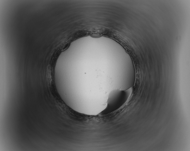 X0000096691058200802191423