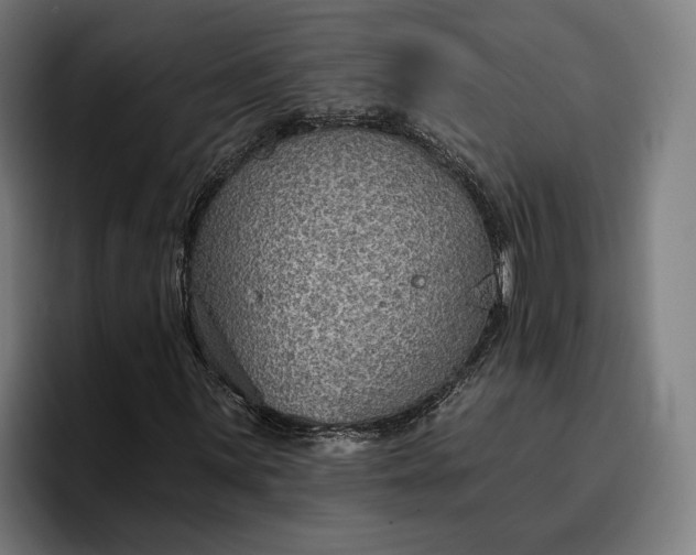 X0000096691059200802191423