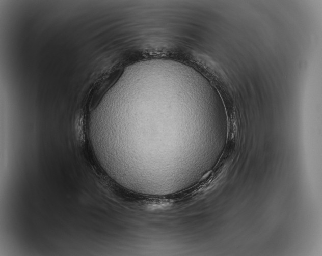 X0000096691060200802191423