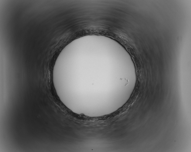 X0000096691061200802191423