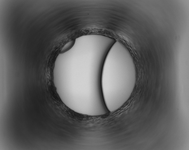 X0000096691062200802191423