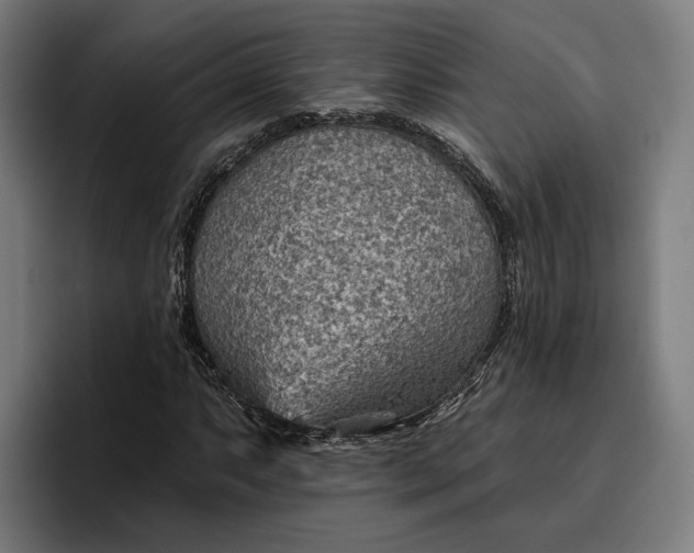 X0000096691063200802191423