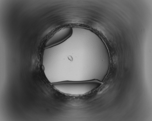 X0000096691064200802191423