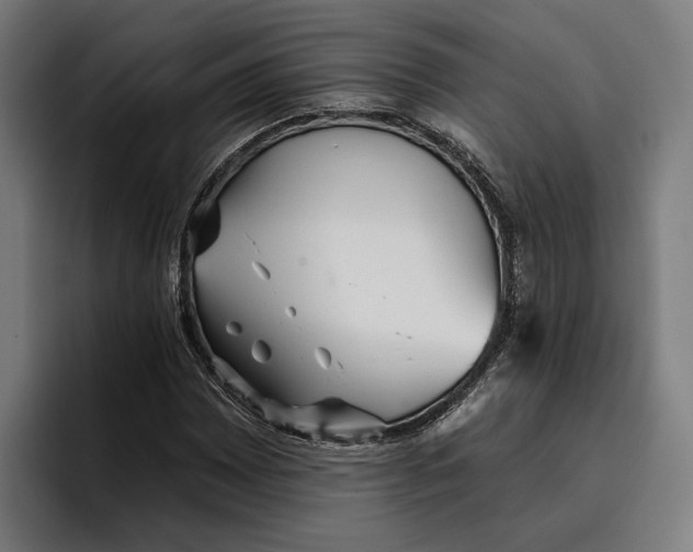 X0000096691065200802191423