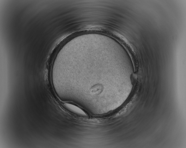 X0000096691066200802191423