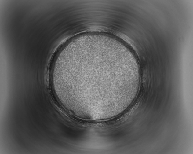 X0000096691067200802191423