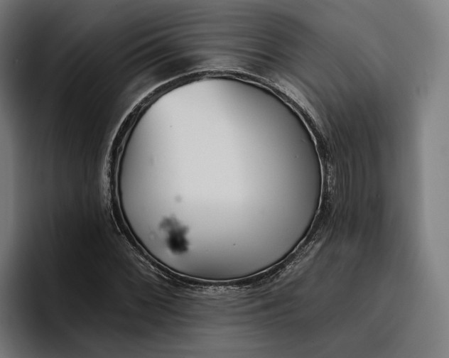 X0000096691068200802191423