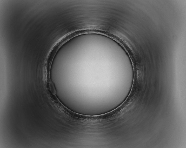 X0000096691069200802191423